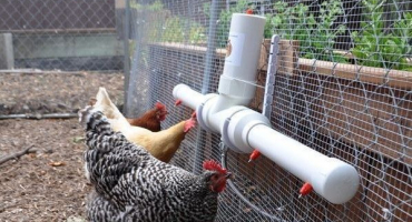 Napáječky: princip fungování + příklad výroby